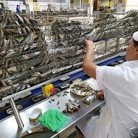 mar-2020-divulga-medidas-extraordinarias-de-apoio-ao-sector