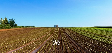 pdr2020-plano-de-abertura-de-concursos-2017