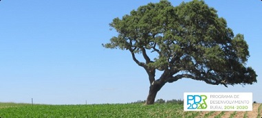 jovem-agricultor-candidaturas-abertas